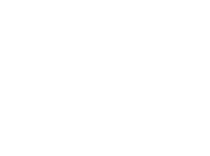 OFFICIAL-SELECTION---Dumbo-Film-Festival---2022-(1)